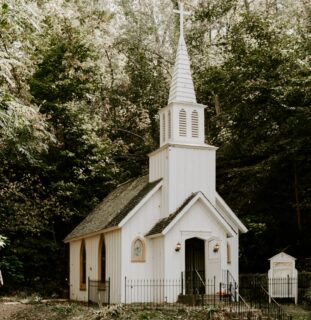 Small white church surrounded by trees