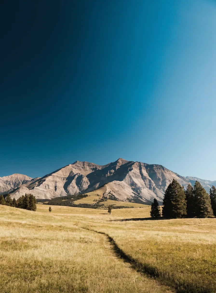 Montana meadow path leading toward a mountain range